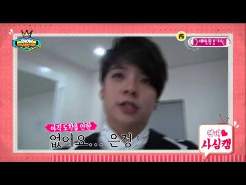 140326 Show Champion Amber  cut