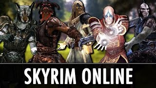 как играть в skyrim по сети с другом все способы 2019