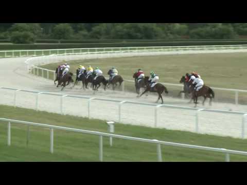 2017.06.25. 5. futam - NYERETLENEK VERSENYE (V.kat.) (szintetikus pálya)