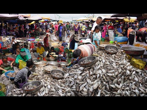 Cambodian Dry Fish Market Scene On The Street - Plenty Alive Fish Selling In Fish Market @Kilo9