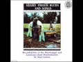 Alan Lomax's Negro Prison Blues & Songs ...