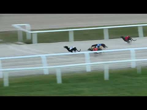 2017.10.29. 10. futam - Agár futam