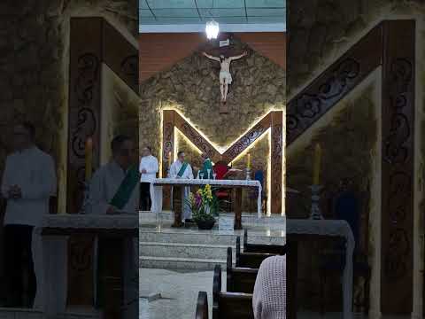 Paróquia Santíssima Mãe de Deus - IVAIPORÃ-PR