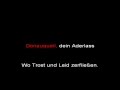 Rammstein - Donaukinder (instrumental with ...