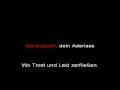 Rammstein - Donaukinder (instrumental with lyrics ...