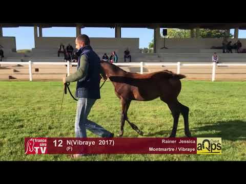 Show AQPS Lion 2017 : Lot 12 - N(Vibraye  2017)