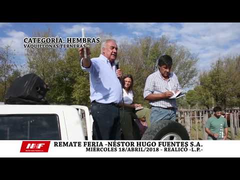 REMATE FERIA: N.H.F. S.A. - REALICÓ -MIÉRCOLES 18 DE ABRIL -VAQUILLONAS-TERNERAS-VACAS-