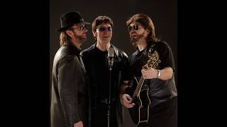 The Bee Gees Tribute Experience – The Ultimate Bee Gees Tribute Band UK