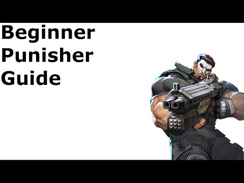 Punisher Beginner Guide