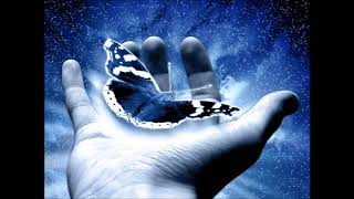 Paolo - Elusive Butterfly