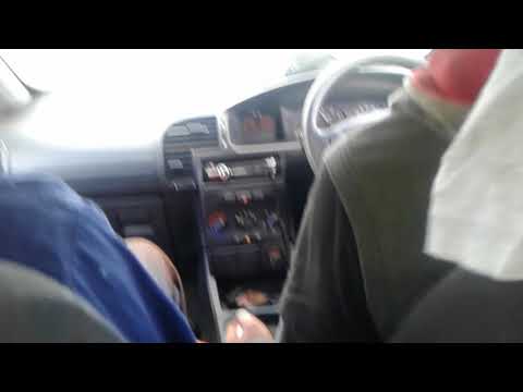 New Farm harvest (Swede) Strong kiriboys