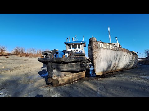 Greifenstein an der Donau: Historische Schiffe auf dem Trockenen