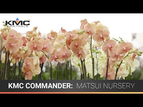 KMC Commander: Matsui Nursery Case Study