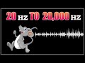 Ultrasonic Sound 20 000 Hz Mouse And Rat Repellent