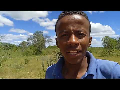 O SERTÃO DO NORDESTE AQUI É DESSE JEITO 