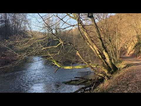 Wanderung Müngstener Brückenpark und Schloss Burg bei Solingen