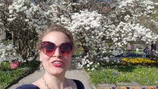 Opernstammtisch Vlog - Musikalischer Blumenstrauß - 2. Mai 2017