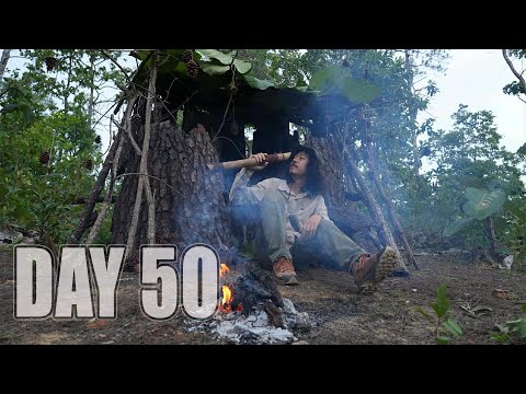 Survive DAY 50 The forest where it's hardest to find food, the pine forest.. [Cao Cao]