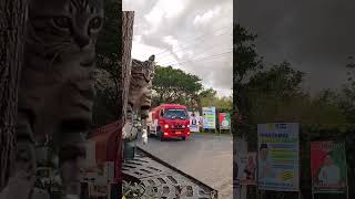 Download lagu kucing kaget klakson mobil #cat #aicat mp3
