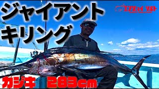 PE3号でバショウカジキ キャスティング