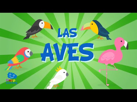 LAS AVES | Vídeos Educativos para Niños