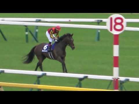 2021 第16回ヴィクトリアマイルGⅠウィニングラン 現地映像 グランアレグリア