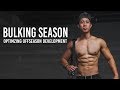 Current Bulking Routine (Building LEAN Muscle & Strength) | New Series Optimizing the Offseason