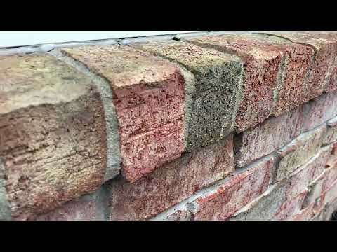 Odorous House Ants Sneaking In Through the Gaps in Bernardsville, NJ