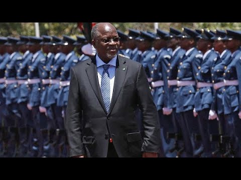 Nutty business: Tanzania president using army to save cashew industry