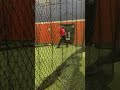 Batting Cage #1 (2022)