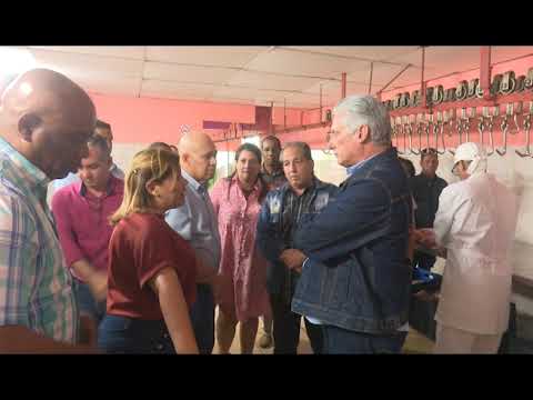 Recorre  Díaz Canel  Empresa  Pecuaria Genética del Este  en #Mayabeque