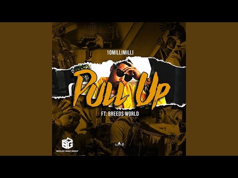 Pull Up (feat. Breedsworld)