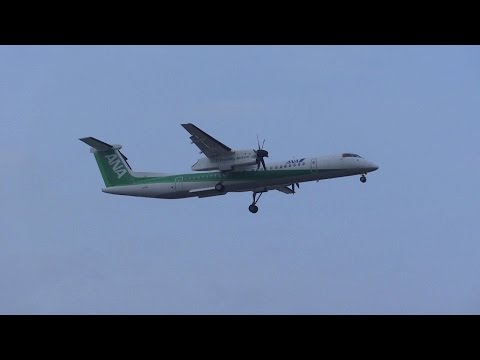 Eco Bom (JA858A / DHC-8-402Q Dash8 / ANAWings (AKX_EH) / 2015-04-06 15:34 / NRT)