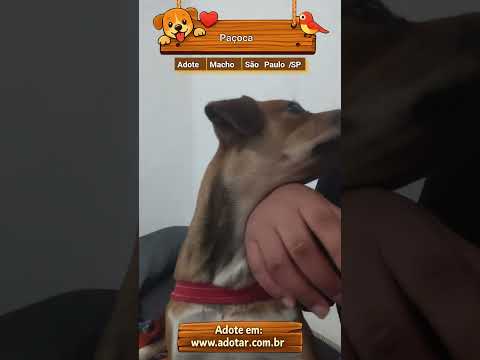 Vídeo de Paçoca 