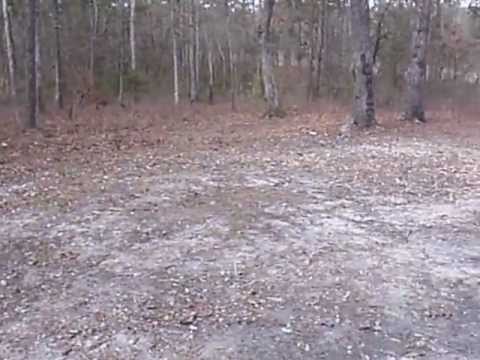 Devil's Tramping Ground Video 1