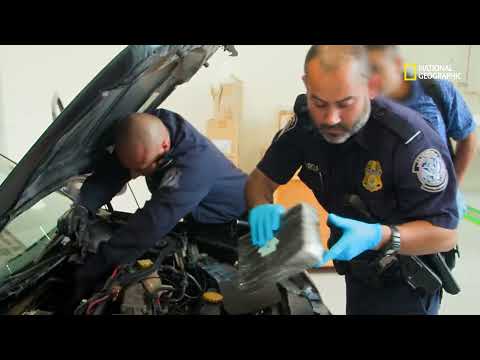 Fronteras al Límite: Perro detecta una sustancia al pasar un automóvil