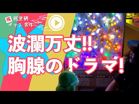 胸腺 (解剖学)について詳しく解説