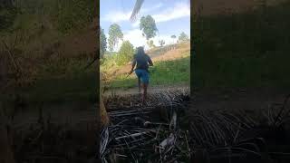 Download lagu pikat burung tuwu mp3 Download lagu pikat burung tuwu mp3