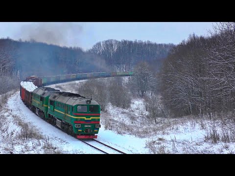 An unexpected guest. What is it for?