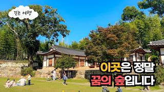 👟 버스정류장 바로 앞! 서울 한복판 20만평에 펼쳐진 가을종합선물세트, 누구나 무료로 이용할 수 있는 꿈의 숲을 만나보세요❤️ | 대중교통여행 | 서울도심힐링여행