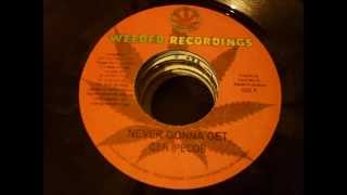 BLACK SURVIVOR RIDDIM - WEEDED RECORDINGS