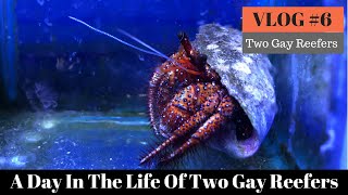 A Day in the Life of Two Gay Reefers - VLOG #6