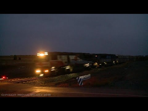 SCT 2PM9 At Level Crossings - PoathTV Australian Trains & Railways