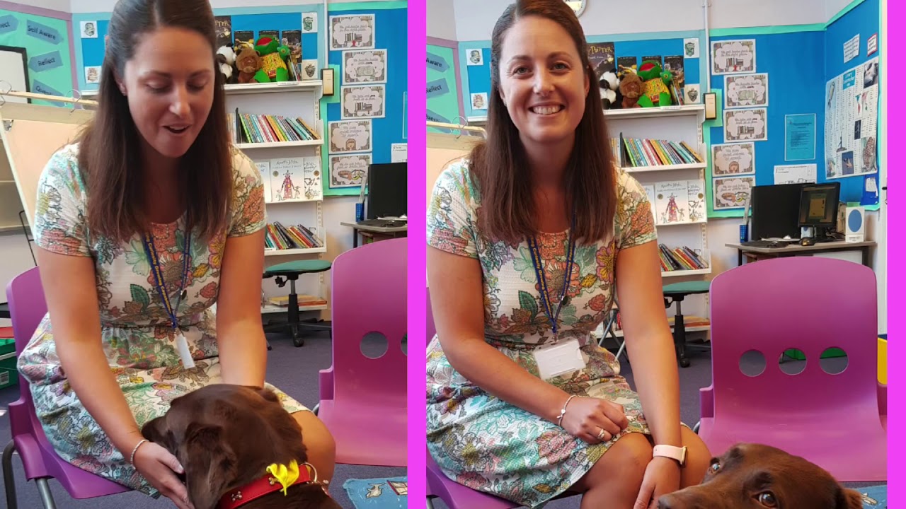 Windmill Hill Academy