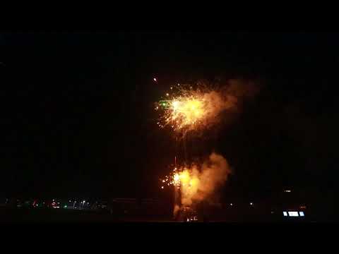 CC1528  49s. Green purple pistil gold strobe to gold strobe mine