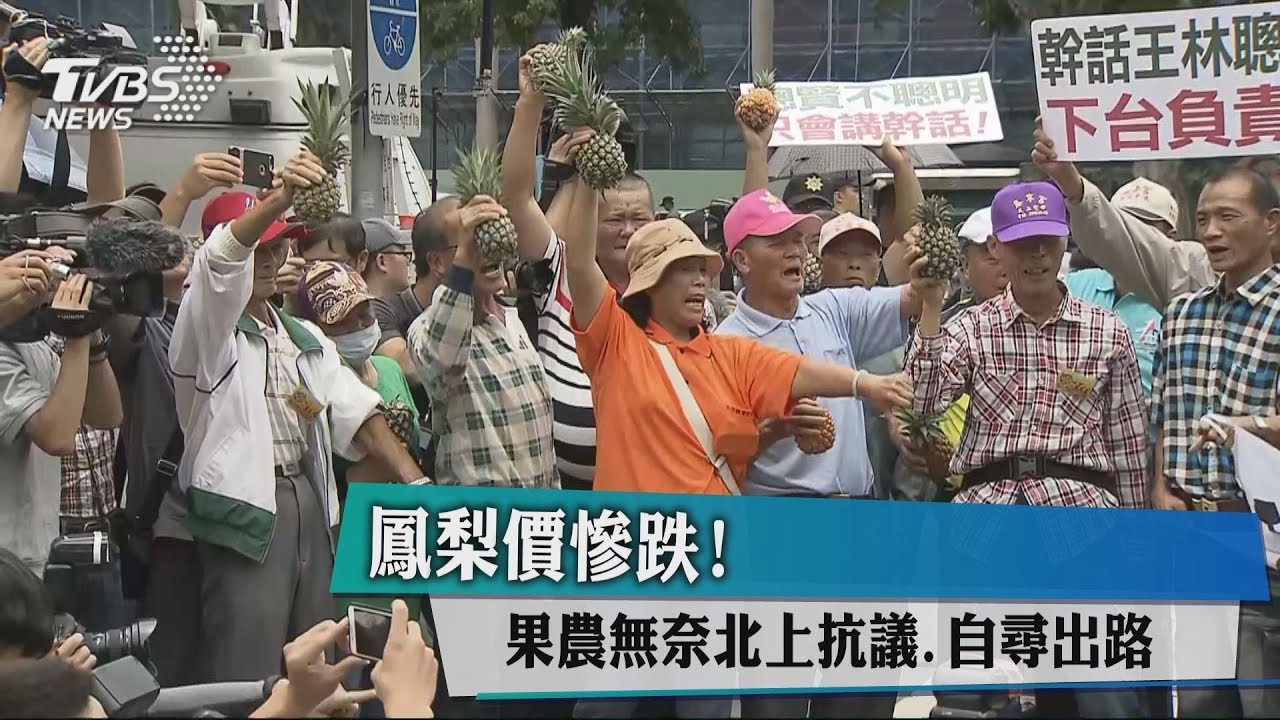 鳳梨價慘跌！果農無奈北上抗議　自尋出路