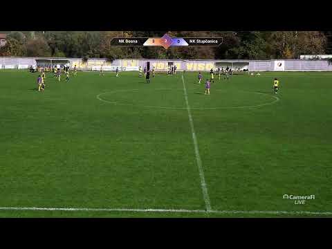 Bosna-Stupčanica Pioniri