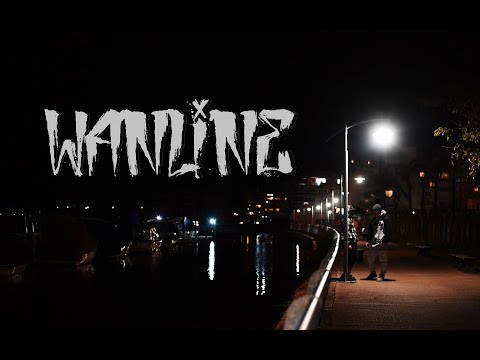 WANLINE and Yaco Levy