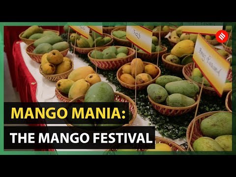 download lagu mp3 mp4 Mango Fest 2019, download lagu Mango Fest 2019 gratis, unduh video klip Mango Fest 2019