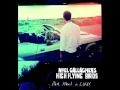 Noel Gallagher's High Flying Birds - AKA... What A ...